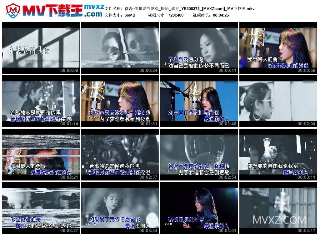 微漫-你想要的我给_国语_流行_YE300373